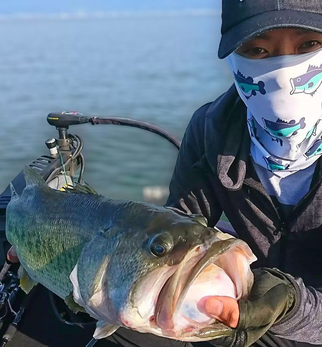 Catching FAT BASS all around the Globe